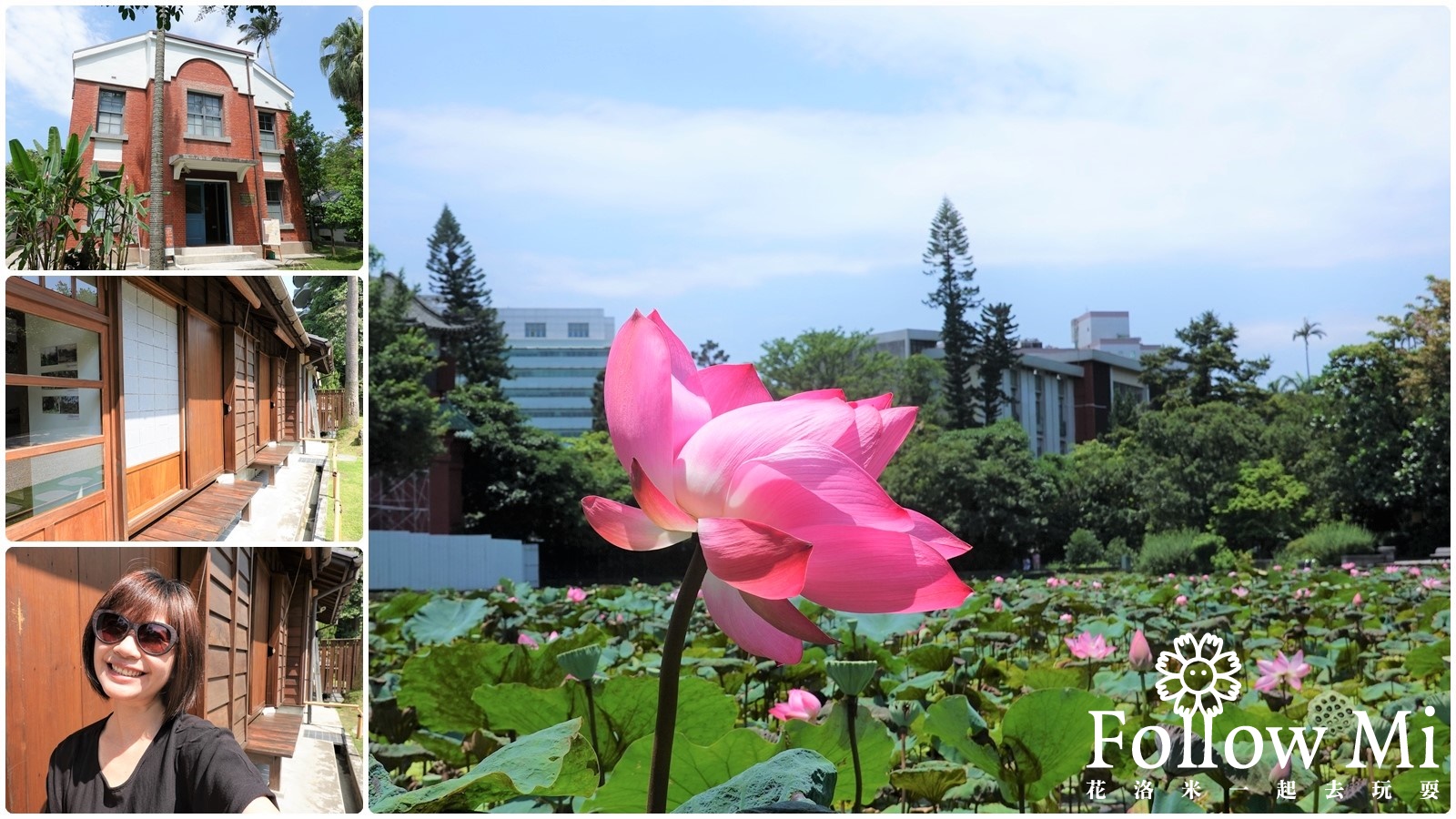 台北植物園-荷花池
