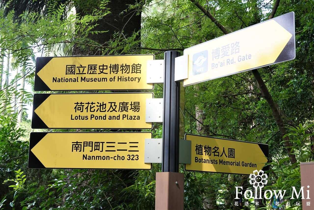 中正區,中正區景點,台北景點,台北植物園,植物園荷花池